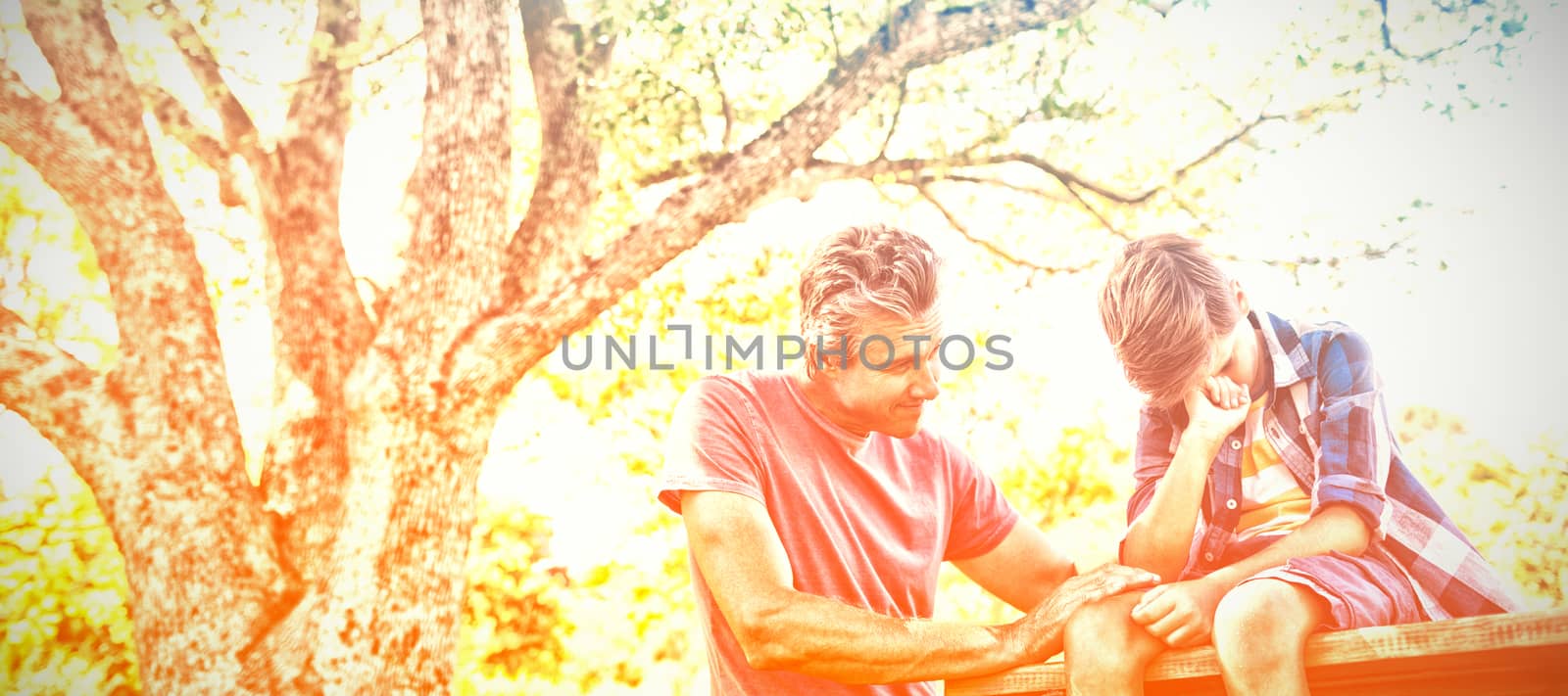 Father consoling his son at picnic in park on a sunny day