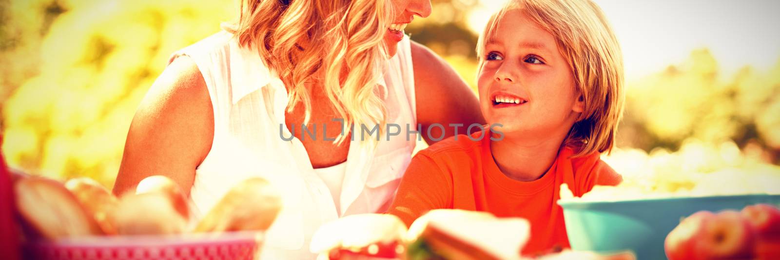 Mother and son interacting with each other while having meal in park on a sunny day