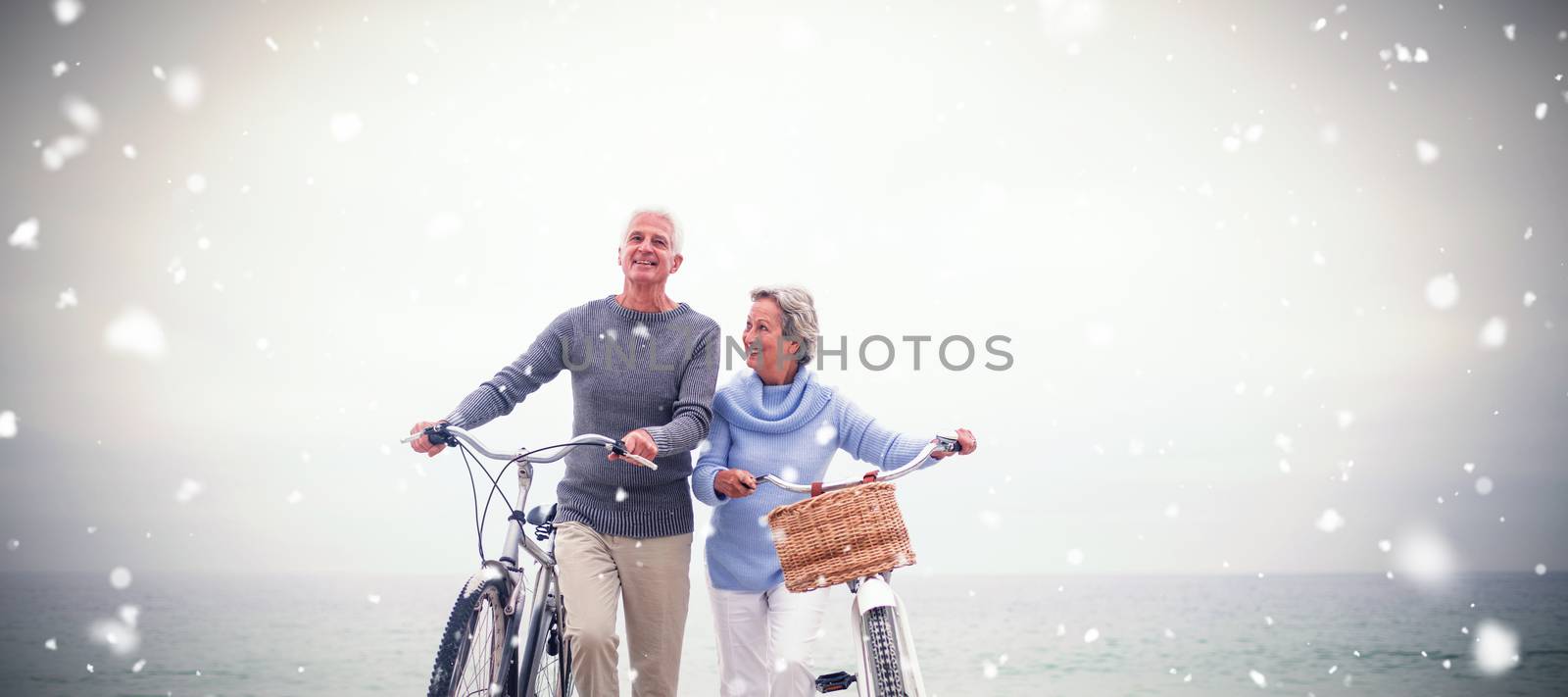 Snow falling against senior couple with their bicycles