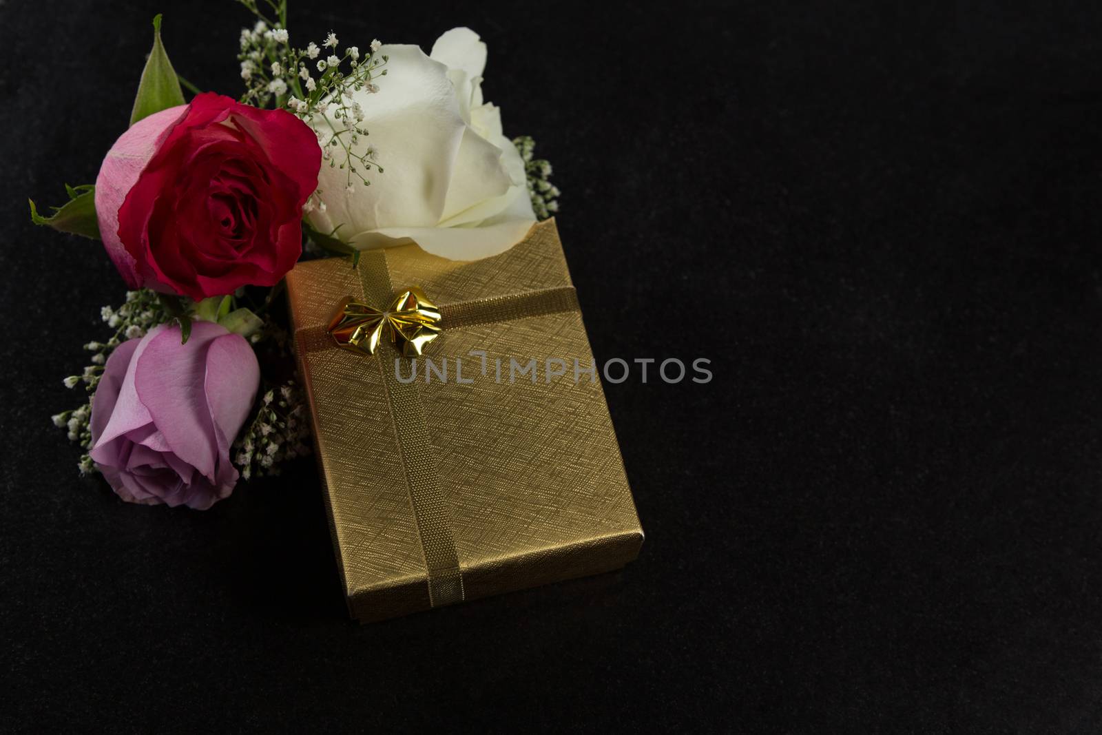 Close-up of rose flowers arranged on black background