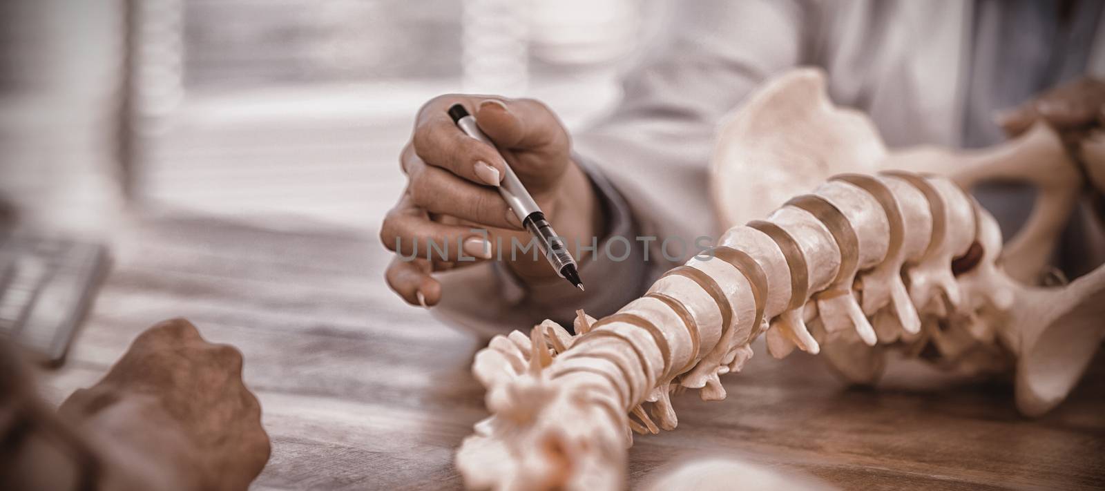 Doctor explaining anatomical spine to patient in medical office