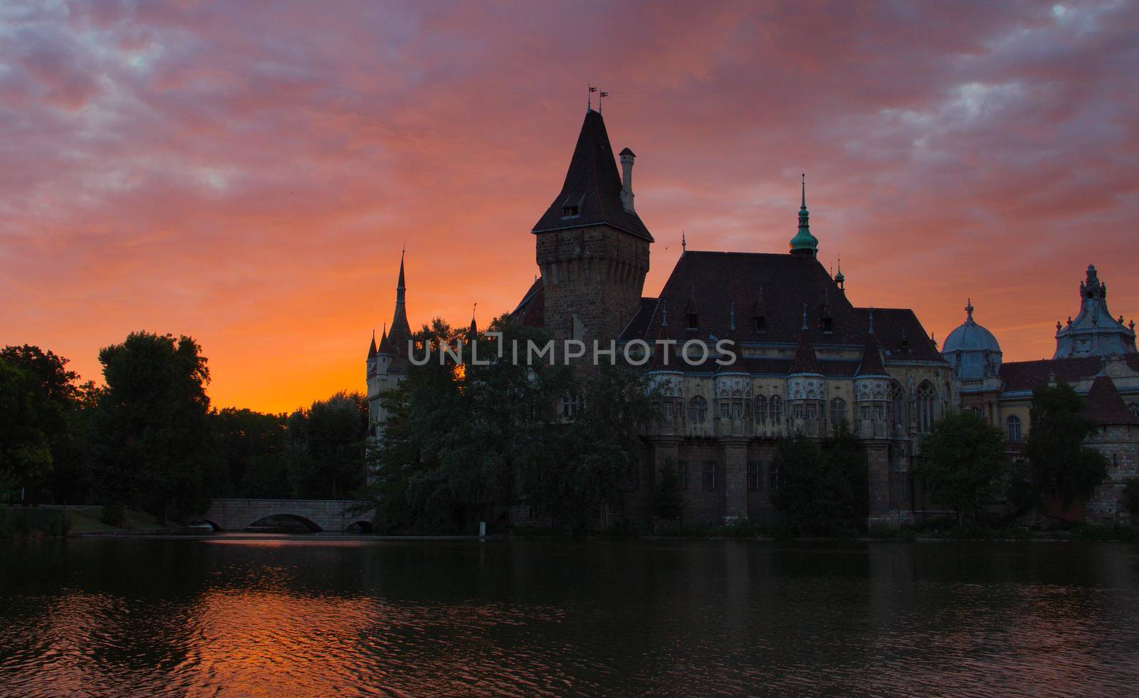 Budapest, Hungary, Vajdahunyad Castle at dawn.