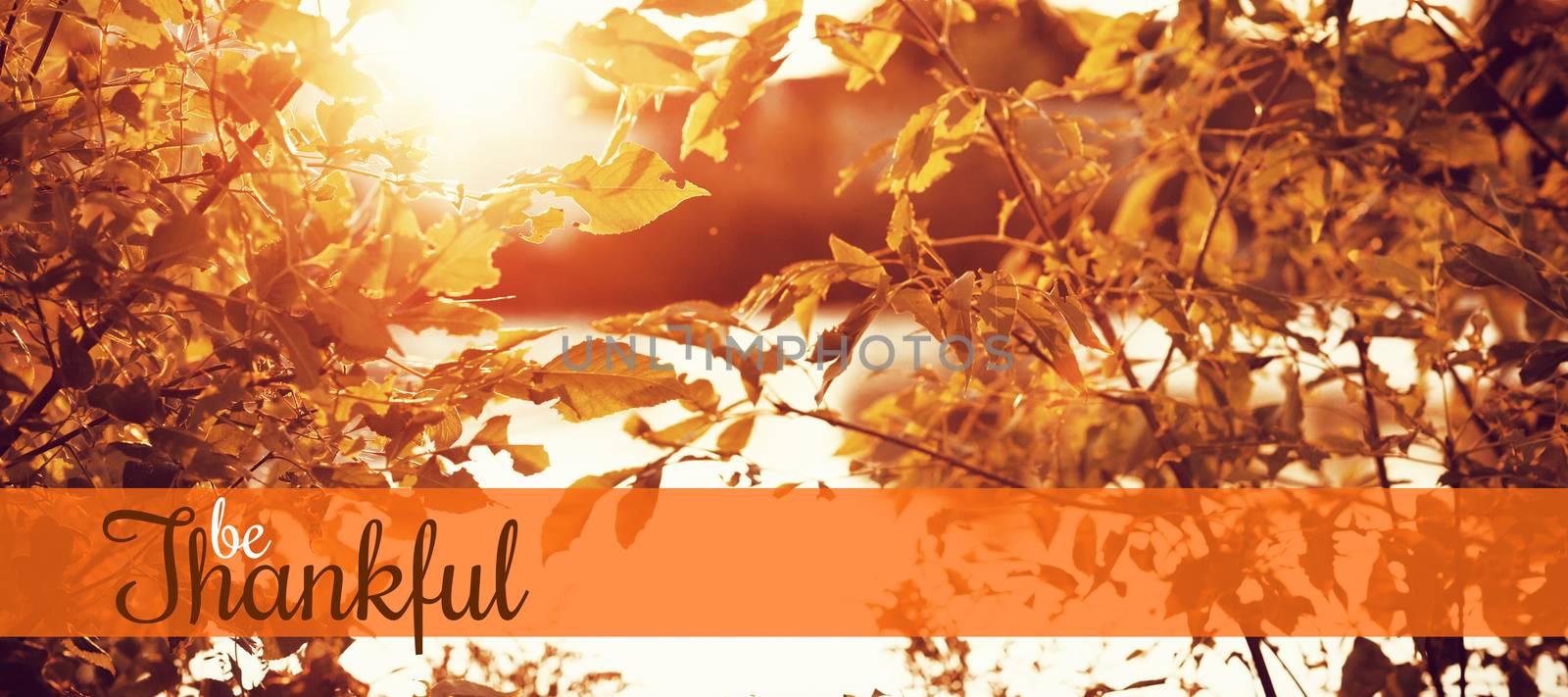 Composite image of thanksgiving greeting text by Wavebreakmedia