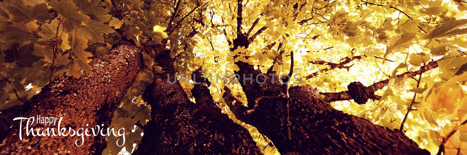 Illustration of happy thanksgiving day text greeting against  leaves in a branch of tree