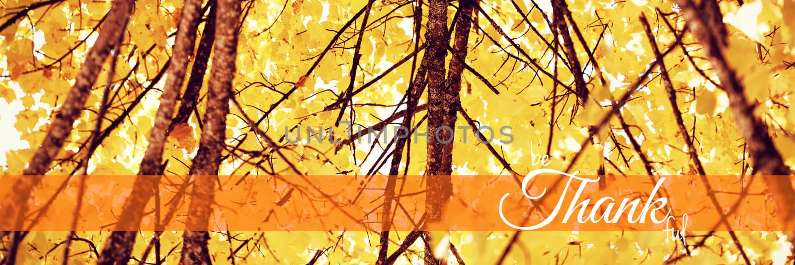 Digital image of happy thanksgiving day text greeting against  low angle view of tree against blue sky