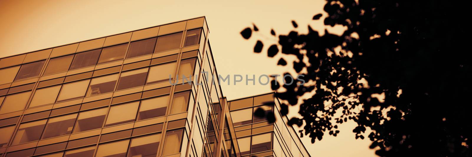 View of glass office building by Wavebreakmedia