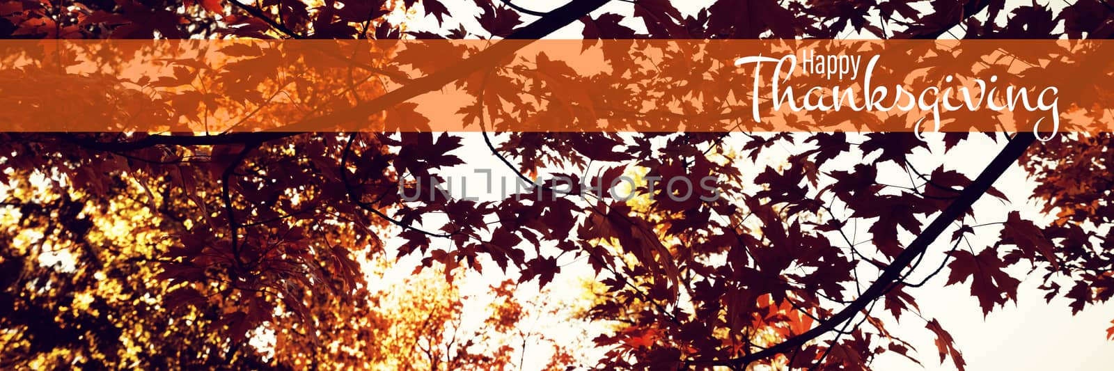 Illustration of happy thanksgiving day text greeting against branch of maple leaves in autumn