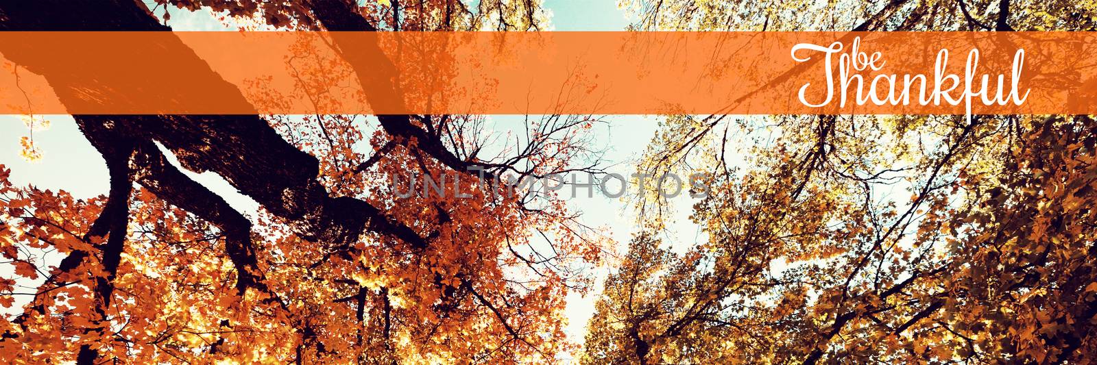 Thanksgiving greeting text against  low angle view of trees against blue sky