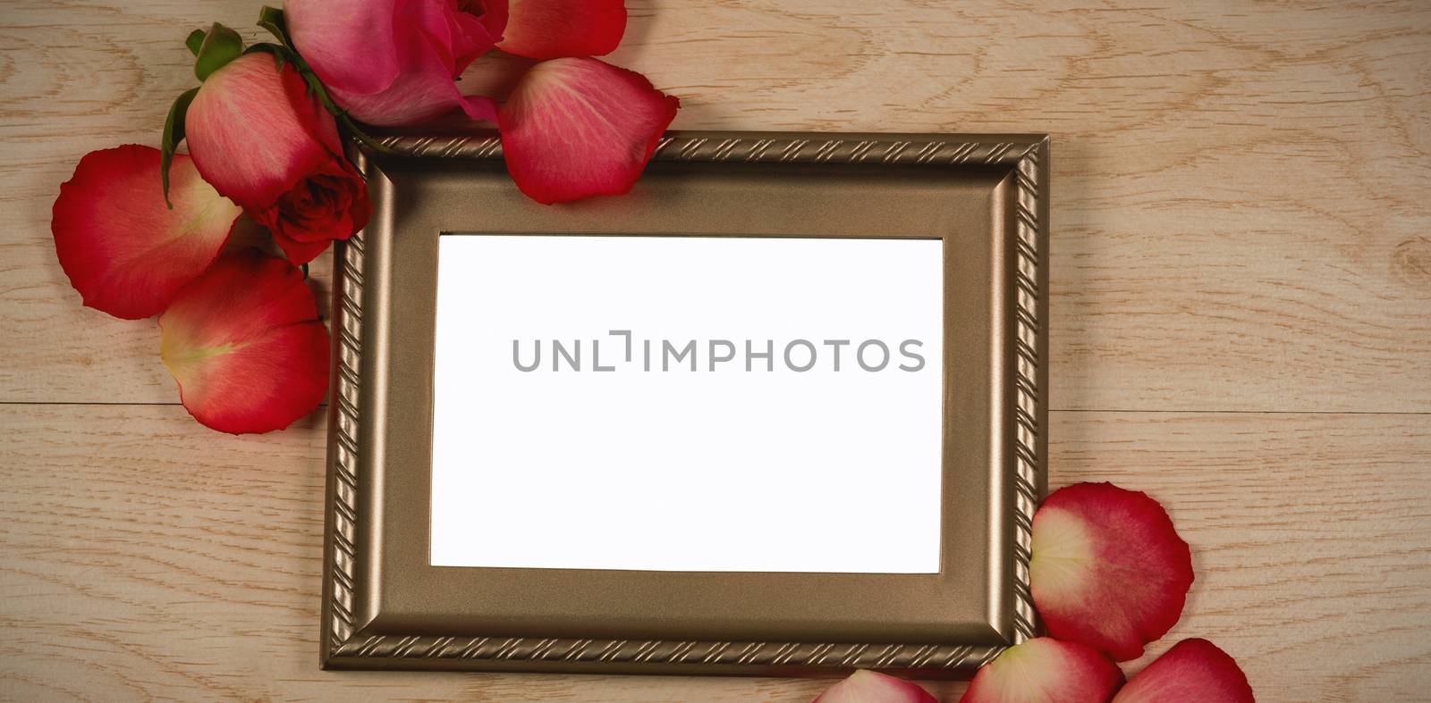 Empty photo frame and rose flower