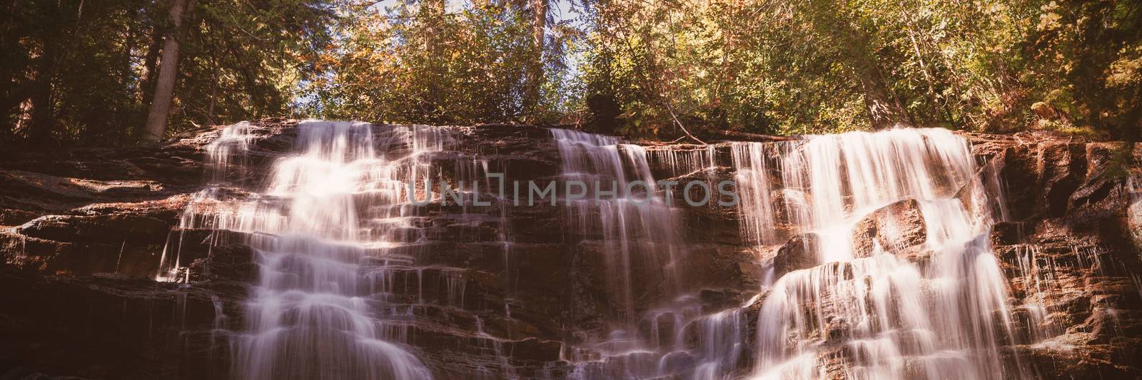 Waterfall in the forest by Wavebreakmedia