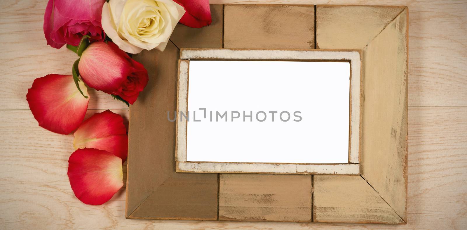 Empty photo frame and rose flower