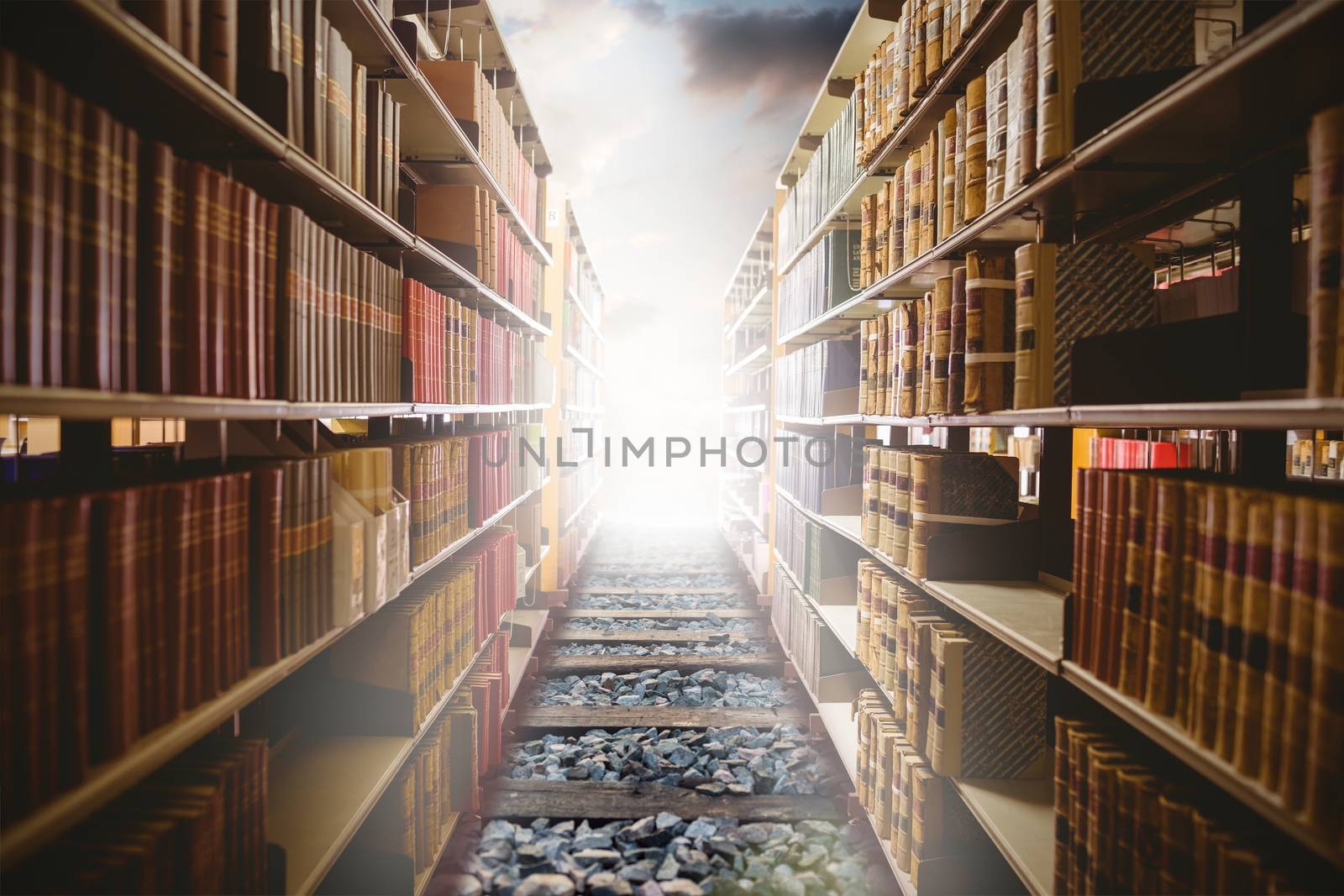 Close up of a bookshelf against railway track in the forest