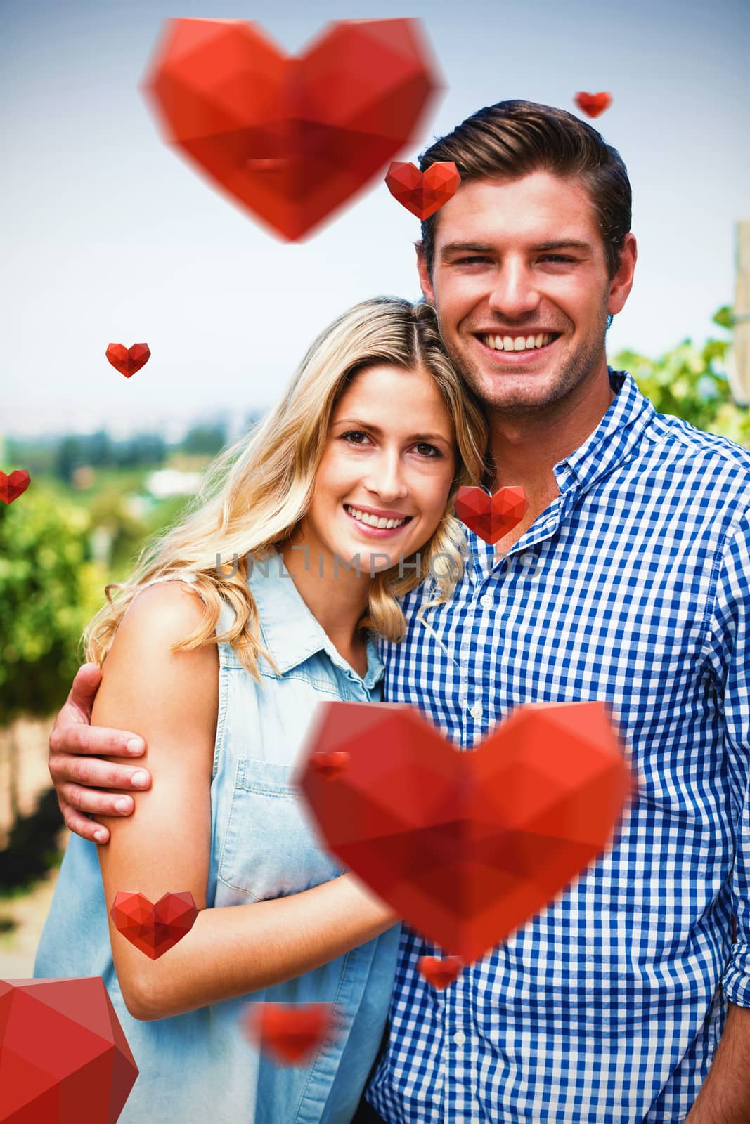 Red heart with white blackground against portrait of happy couple embracing at vineyard