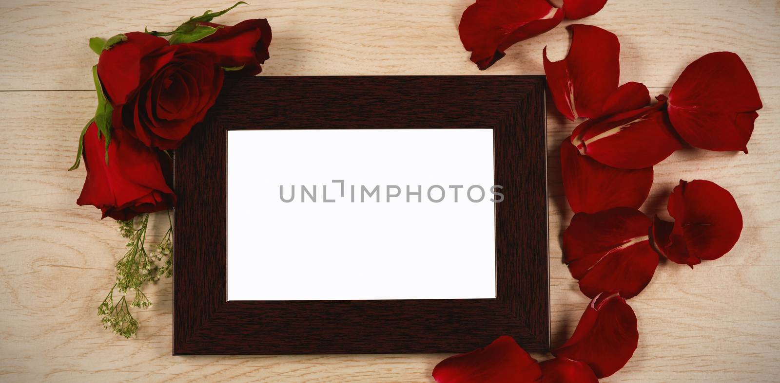 Empty photo frame and rose flower