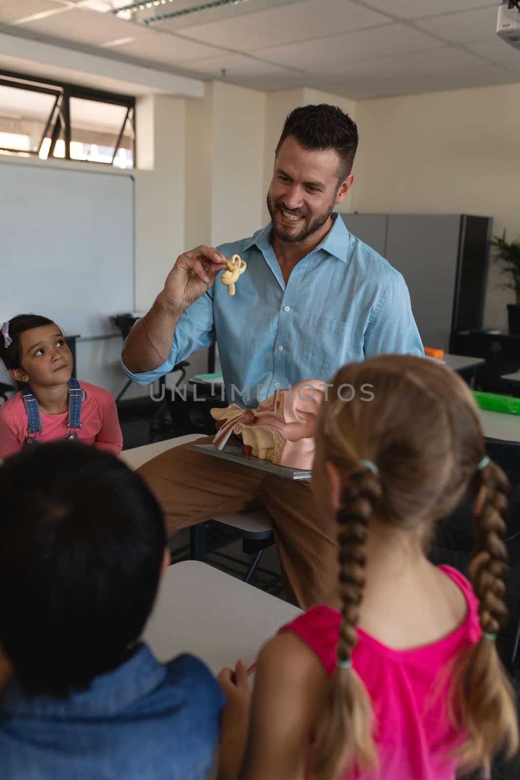Male teacher explaining anatomical model in classroom of elementary school