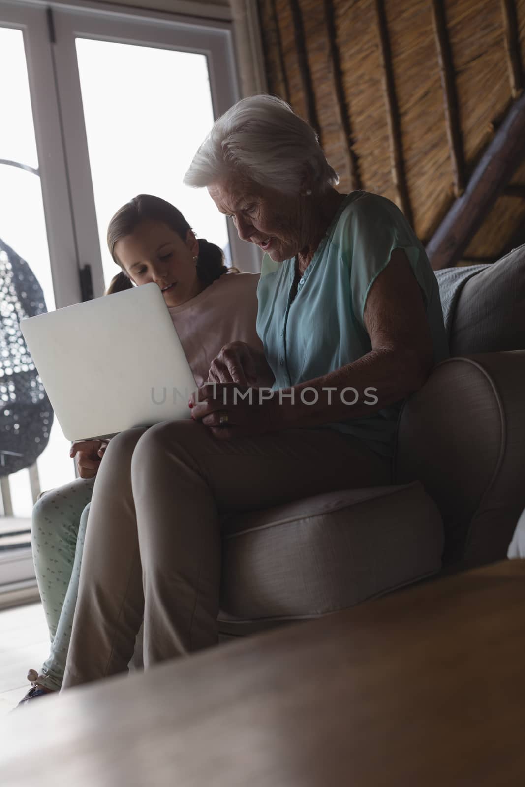 Side view of a grandmother and granddaughter using laptop in living room at home