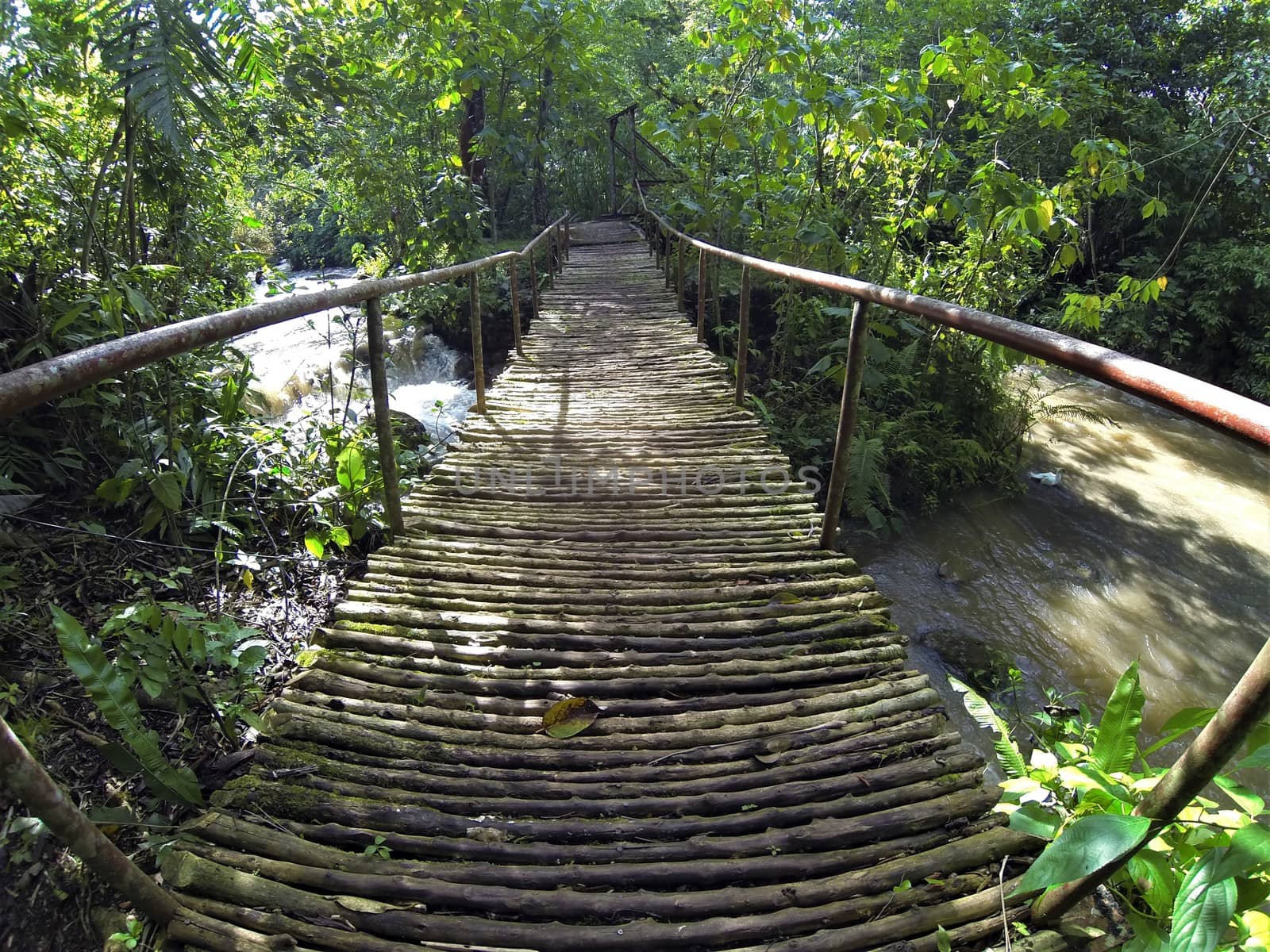 wood bridge across jungle river or stream in central america rainforest