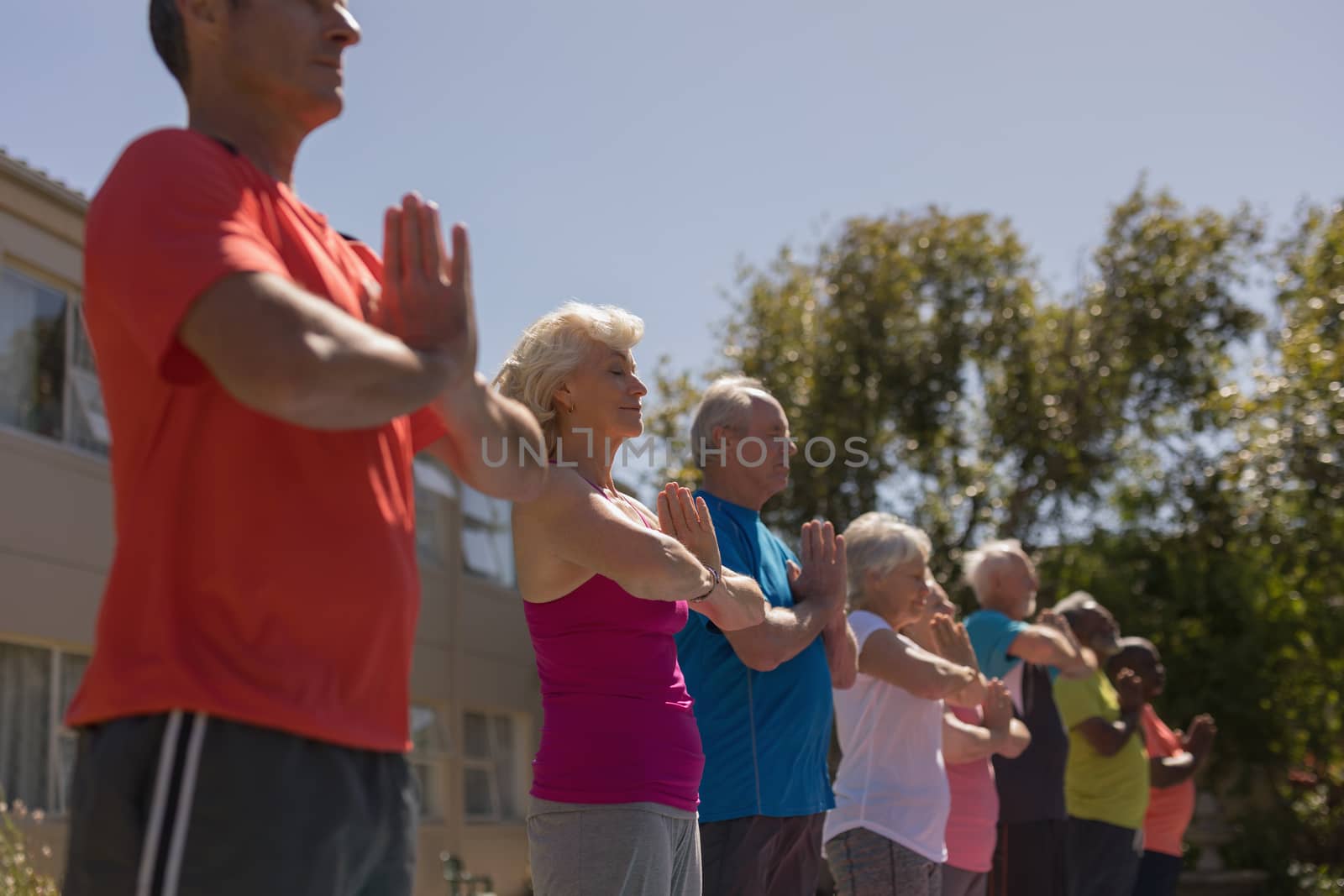 Low angle view of group of active senior people standing performing yoga in the park