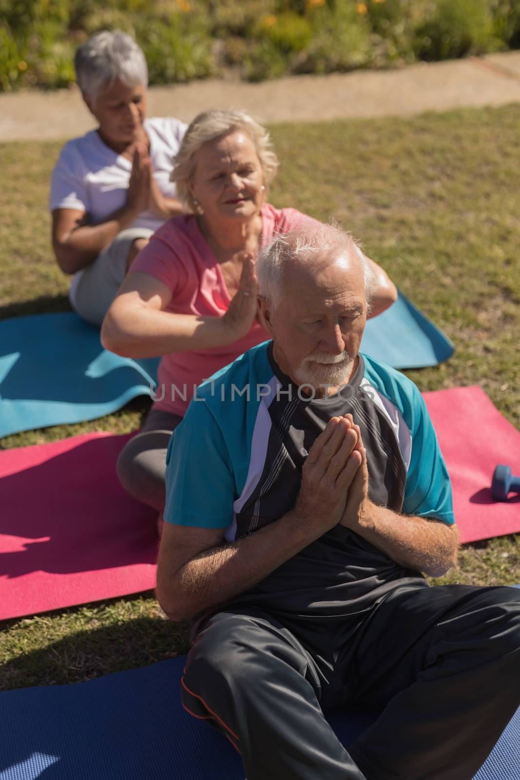 Group of senior people performing yoga in the park by Wavebreakmedia