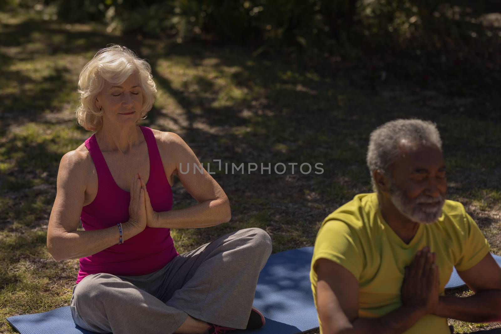 Senior people performing yoga in the park by Wavebreakmedia