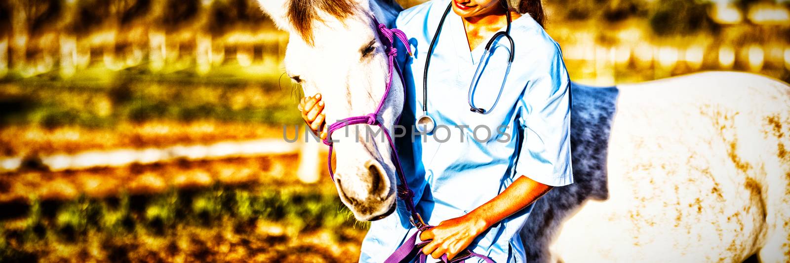 Female vet stroking horse while standing in ranch
