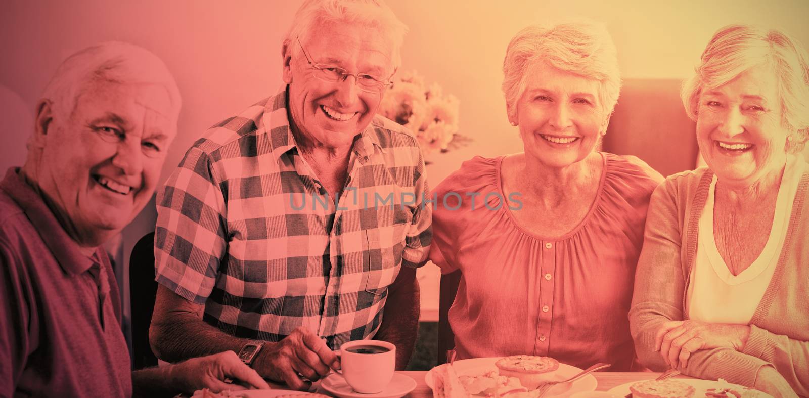 Seniors having lunch together in a retirement home