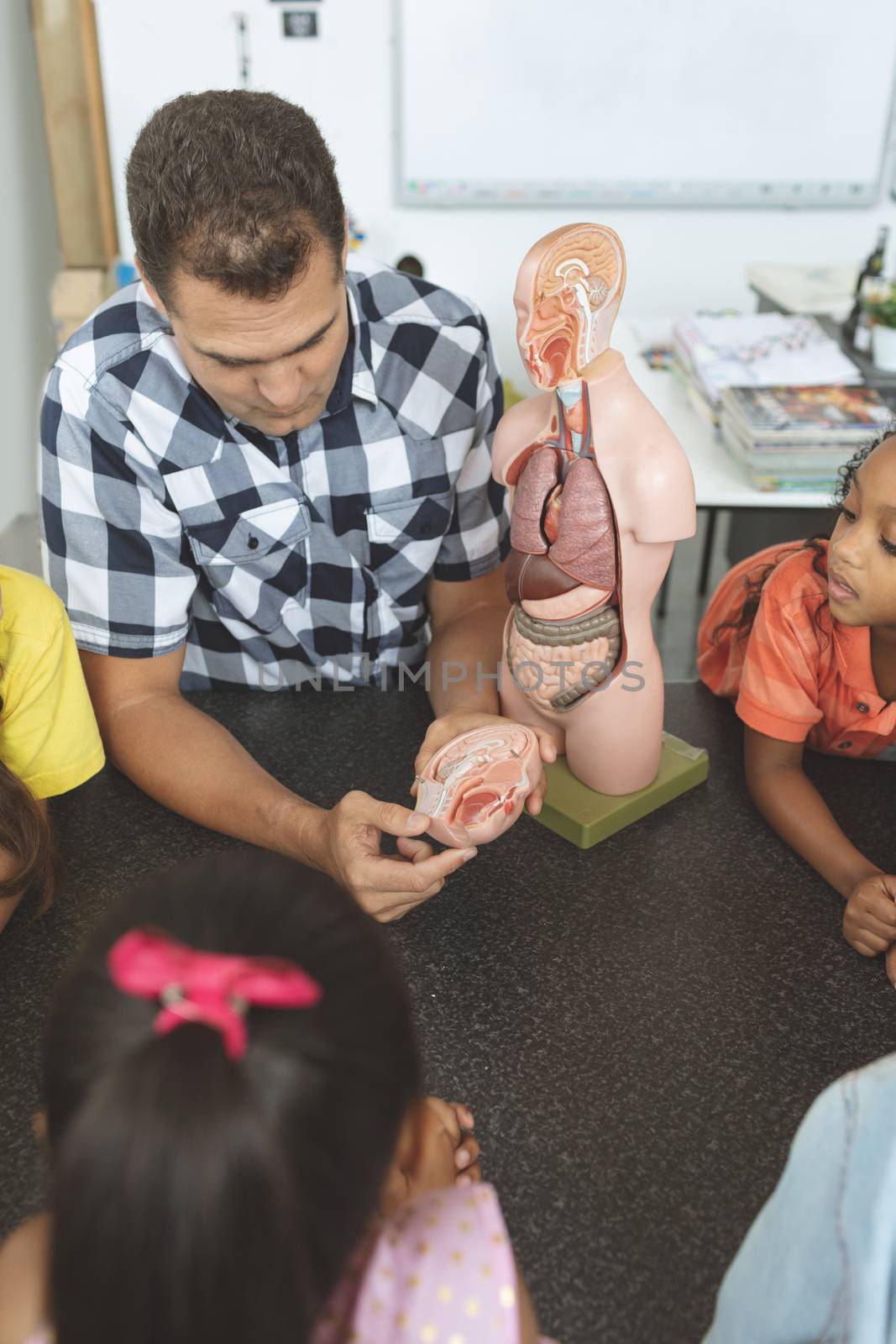 Overhead view of a teacher showing to his school kids a brain part of a dummy skeleton wile they are looking at it in classroom at school