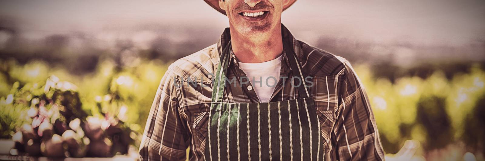 Portrait of a smiling farmer holding box of fruit at local market