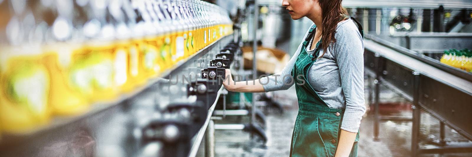 Female factory worker standing near production line by Wavebreakmedia