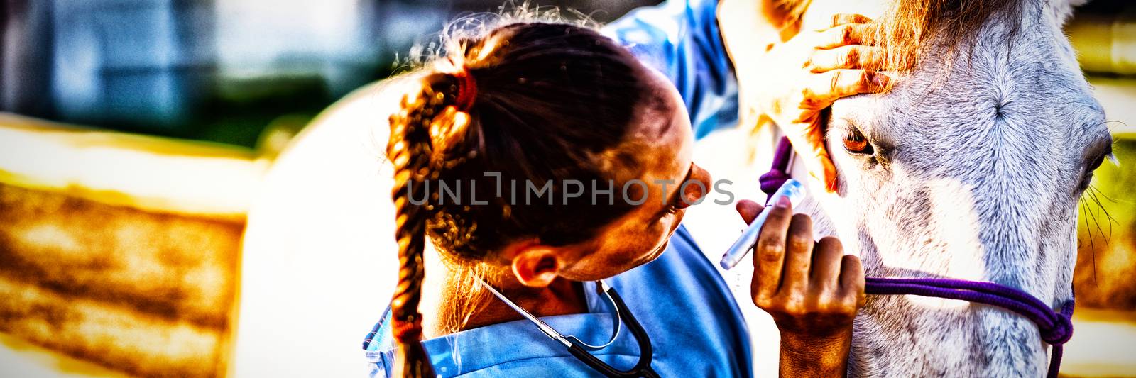 Close up of female vet examining horse eye by Wavebreakmedia