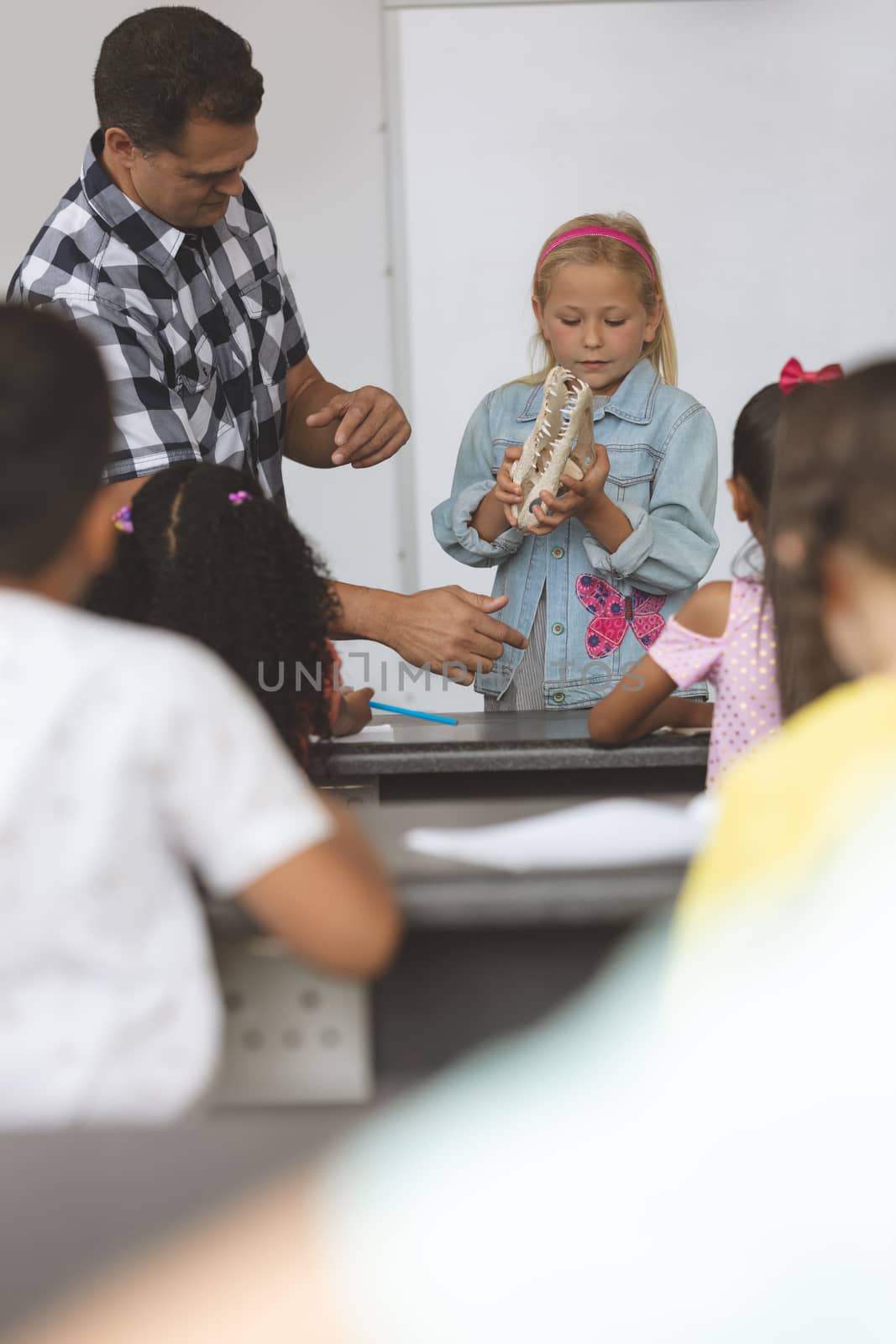 Front view of a Caucasian schoolgirl holding a skull in her hands and showing this one to others school kids sitting in front of her and his teacher next to her behind a desk