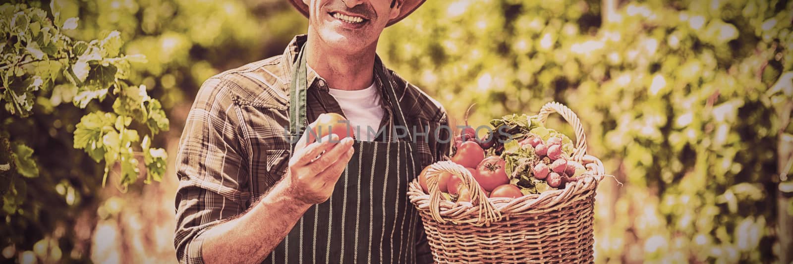 Portrait of cheerful farmer holding basket of vegetables while standing at field