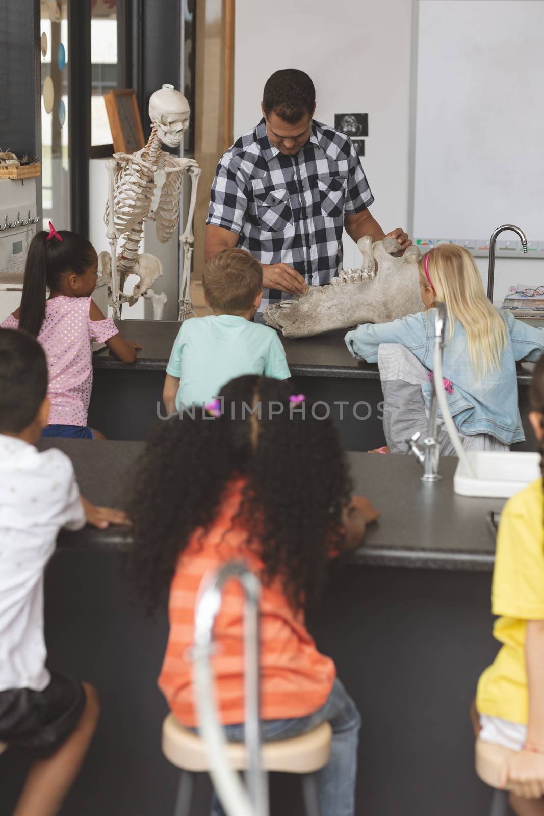 Front view of a teacher explaining at his pupils about human skeleton in classroom at school