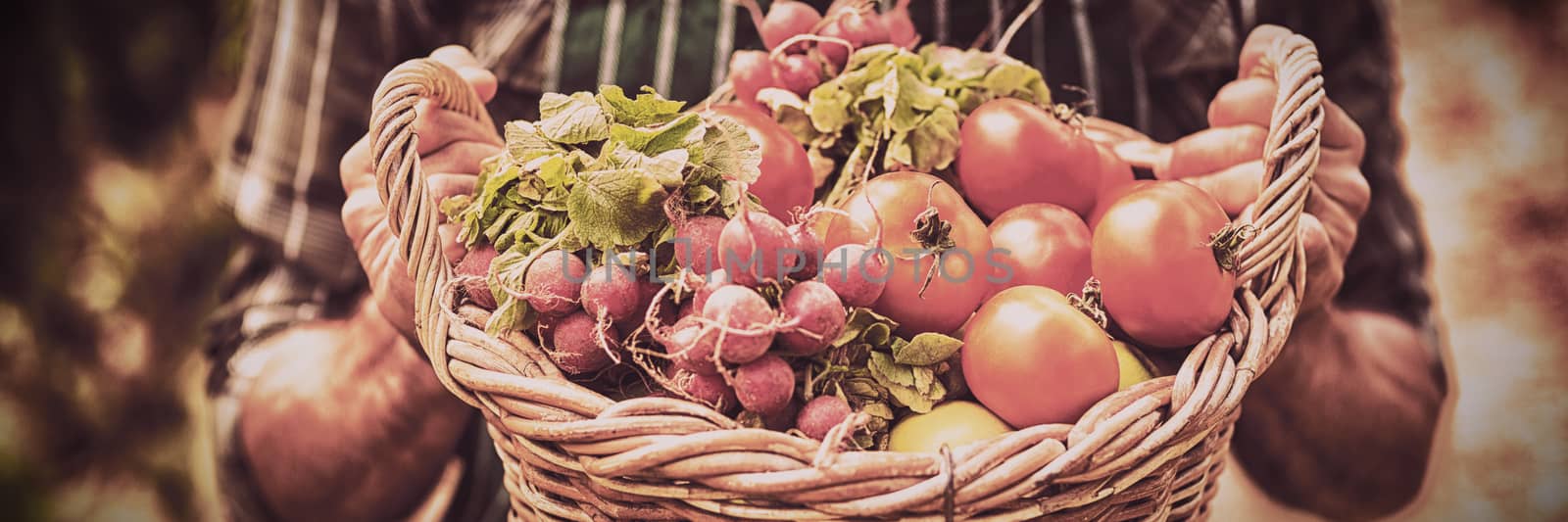 Midsection of farmer holding basket of vegetables in vineyard