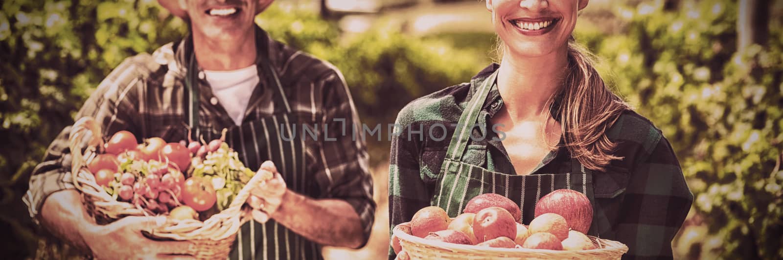 Portrait of happy farmer couple holding baskets of vegetables and fruits in the vineyard