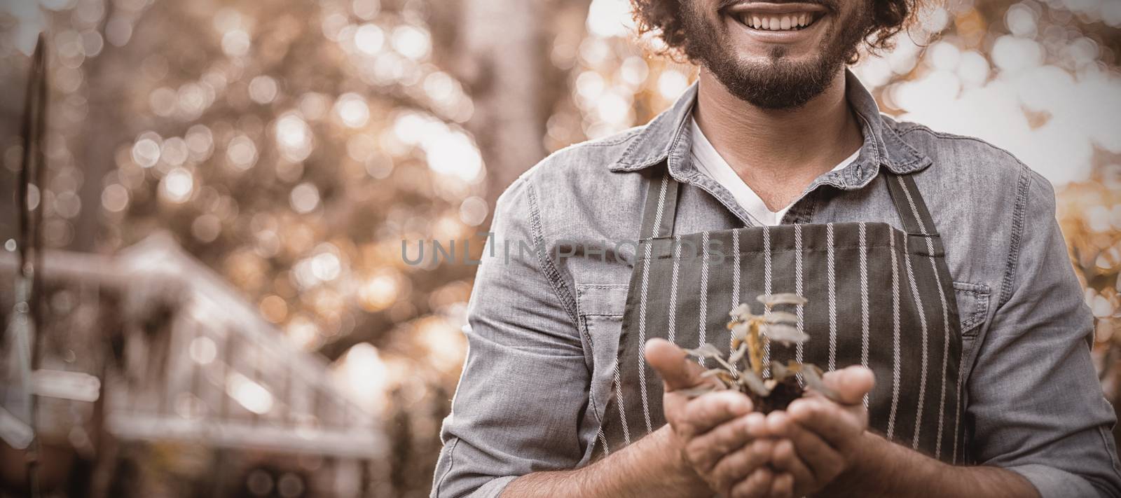 Portrait of happy male gardener holding sapling at greenhouse