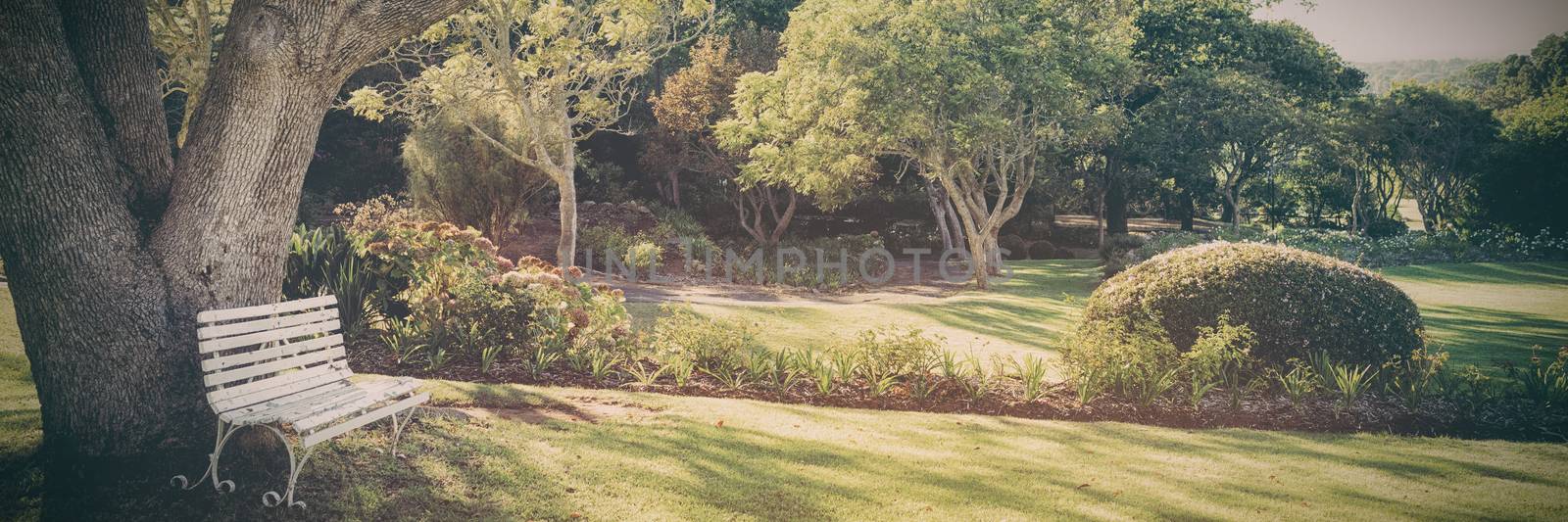 Bench by tree in park by Wavebreakmedia