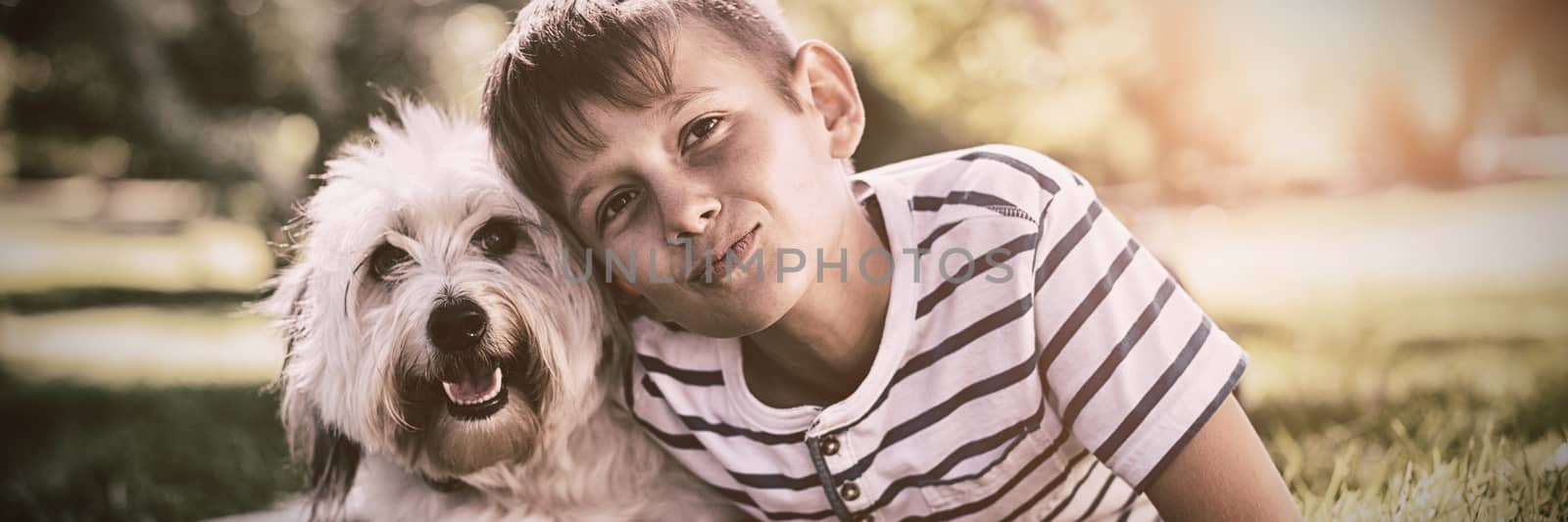 Portrait of boy with dog in park on sunny a day