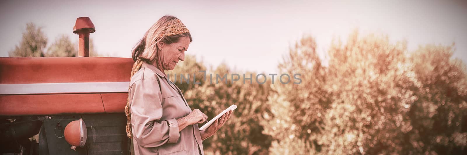 Woman using digital tablet in farm on a sunny day, Side view