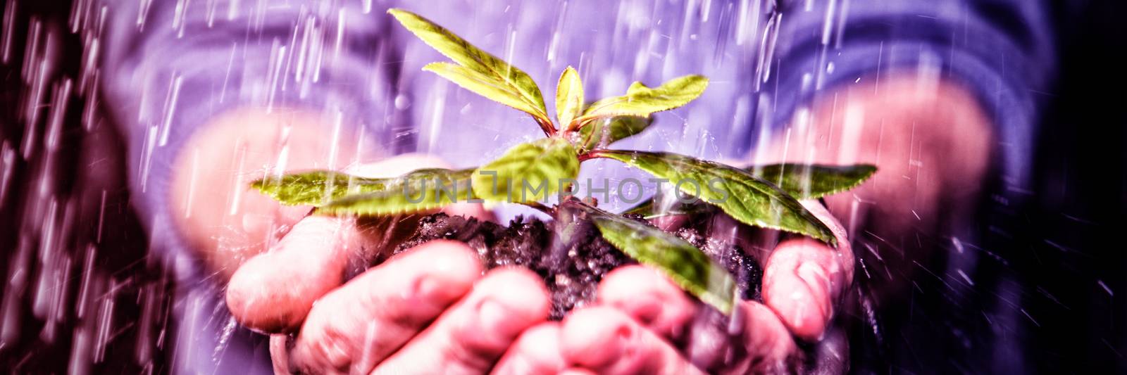 Hands holding seedling in the rain by Wavebreakmedia