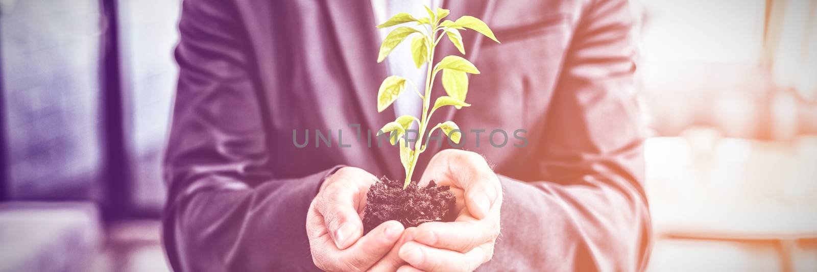 Mid section of businessman holding plant in office