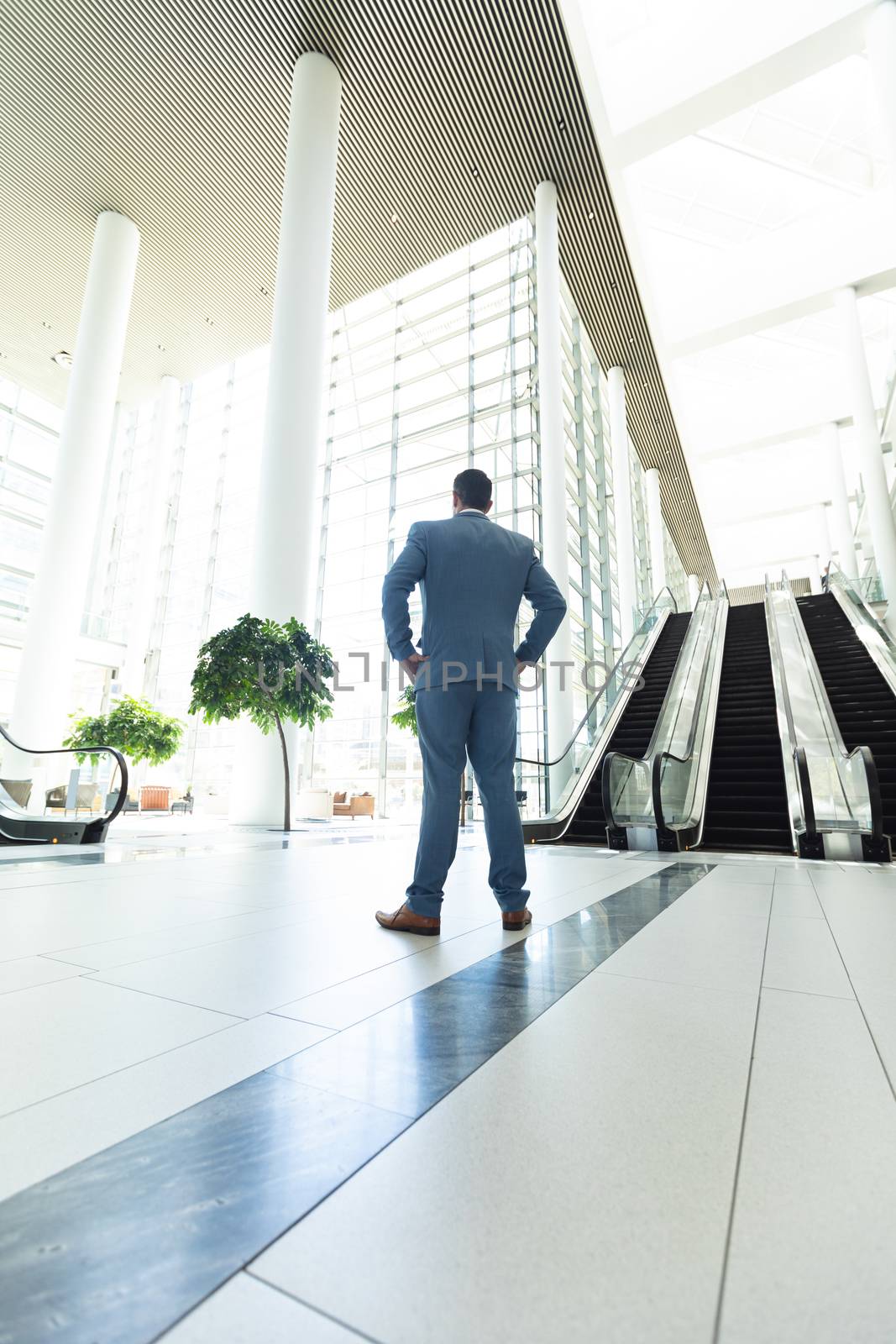 Rear view of thoughtful mature Caucasian businessman standing in modern office