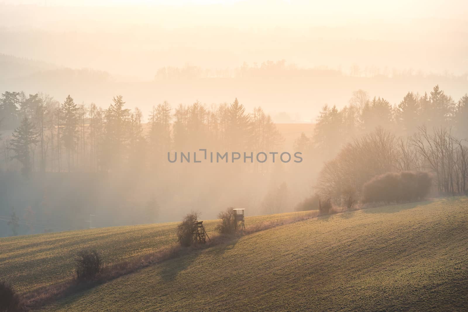 Beautiful misty sunrise landscape. Foggy morning rmeadow. Europe, czech republic. by petrsvoboda91