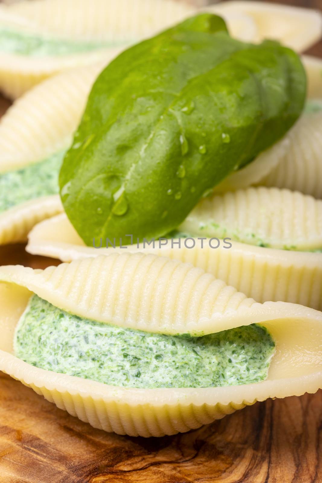 italian conchiglino pasta filled with spinach