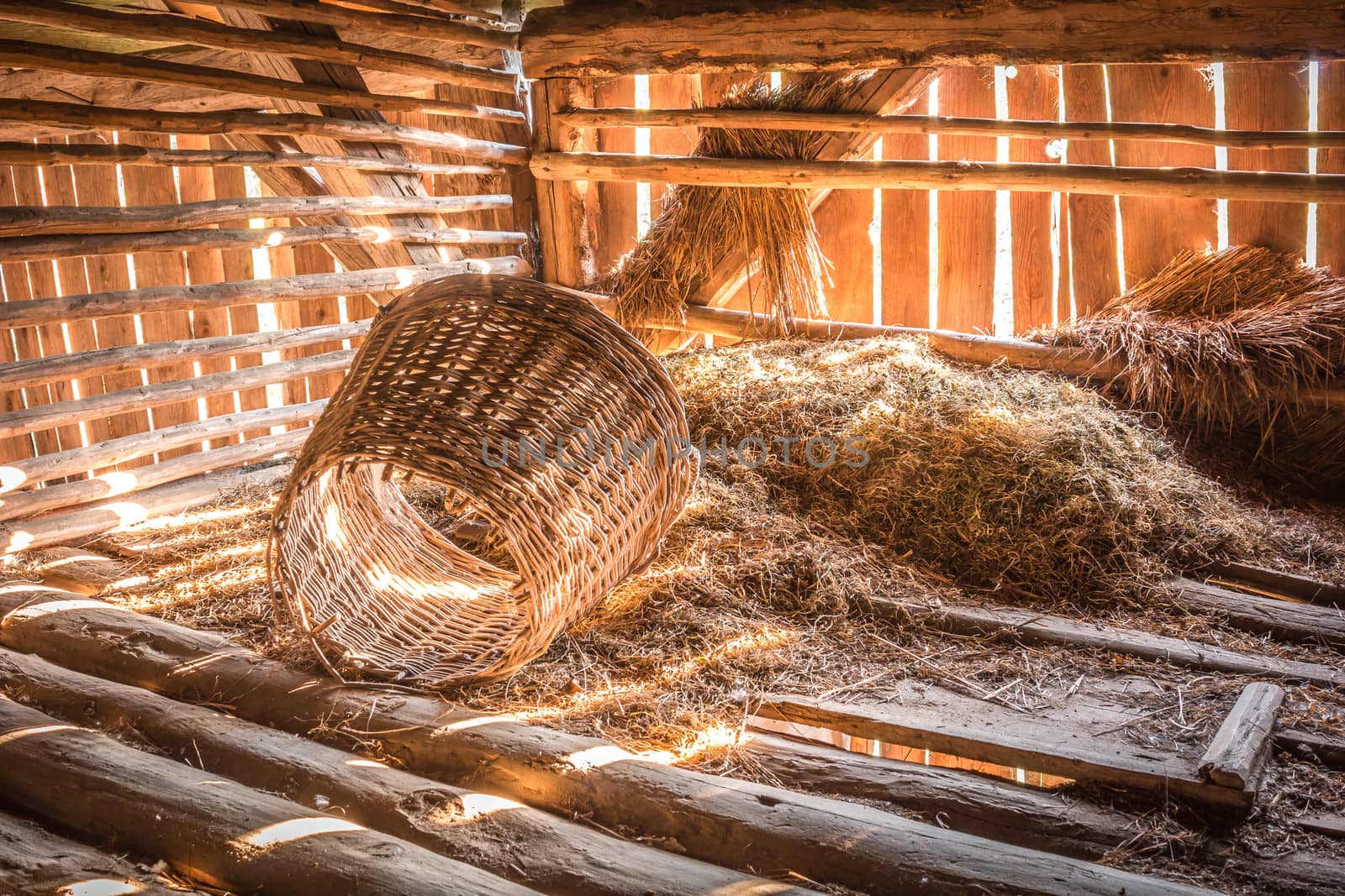 Early morning sunlight streams into a rustic barn.