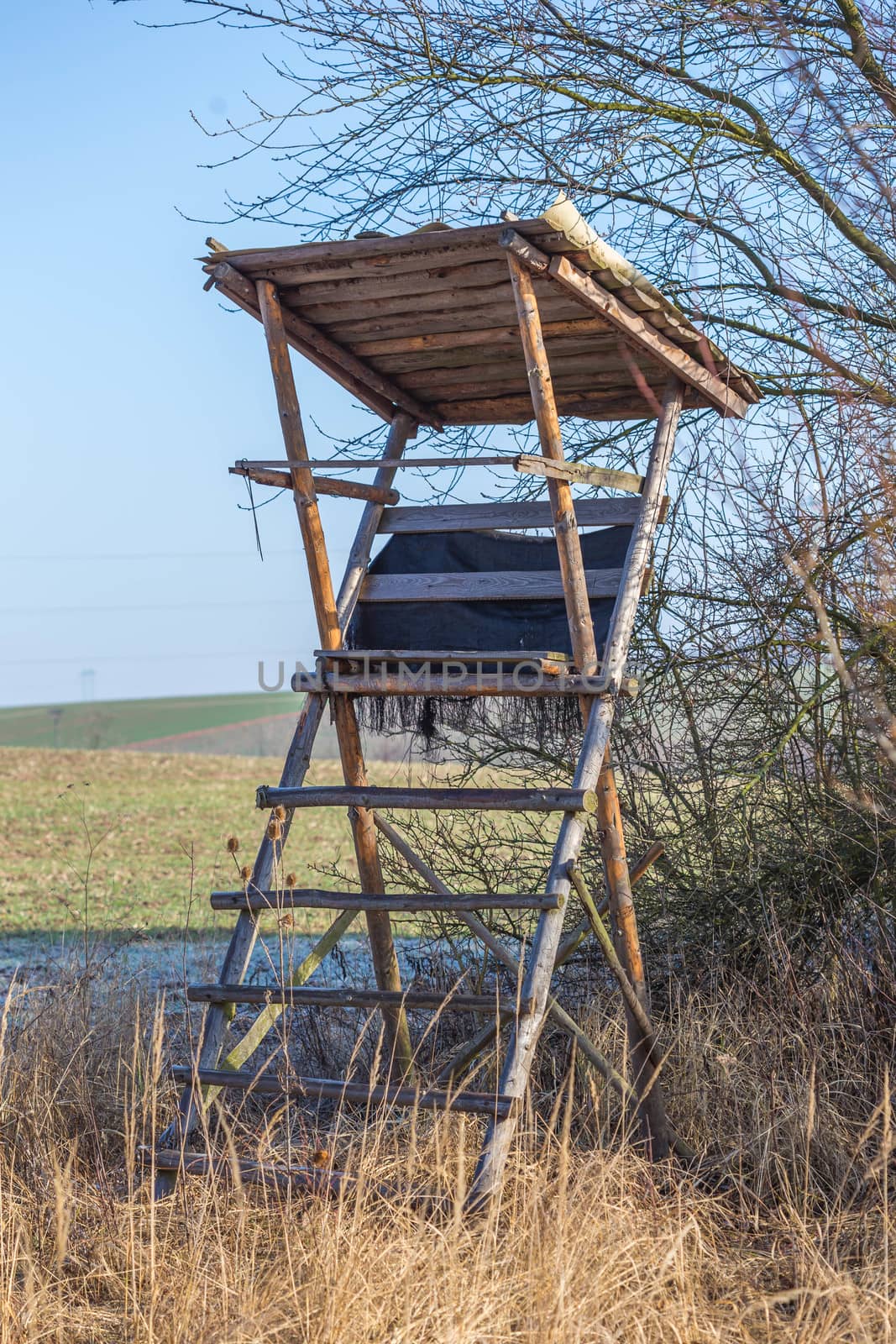 Wildlife observation point - raised blind or hunting tower near meadow by petrsvoboda91