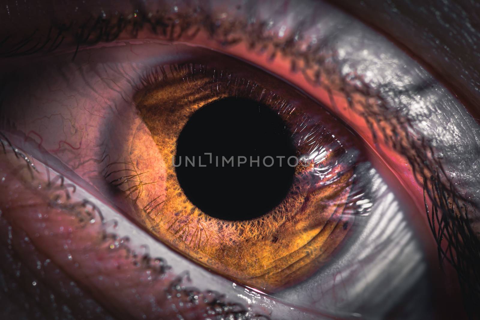 Extreme detail of human pupil or yey iris. Redness of the eyes in humans. Inflamed conjunctiva of the eyeball. Fury in the eyes of a man. by petrsvoboda91