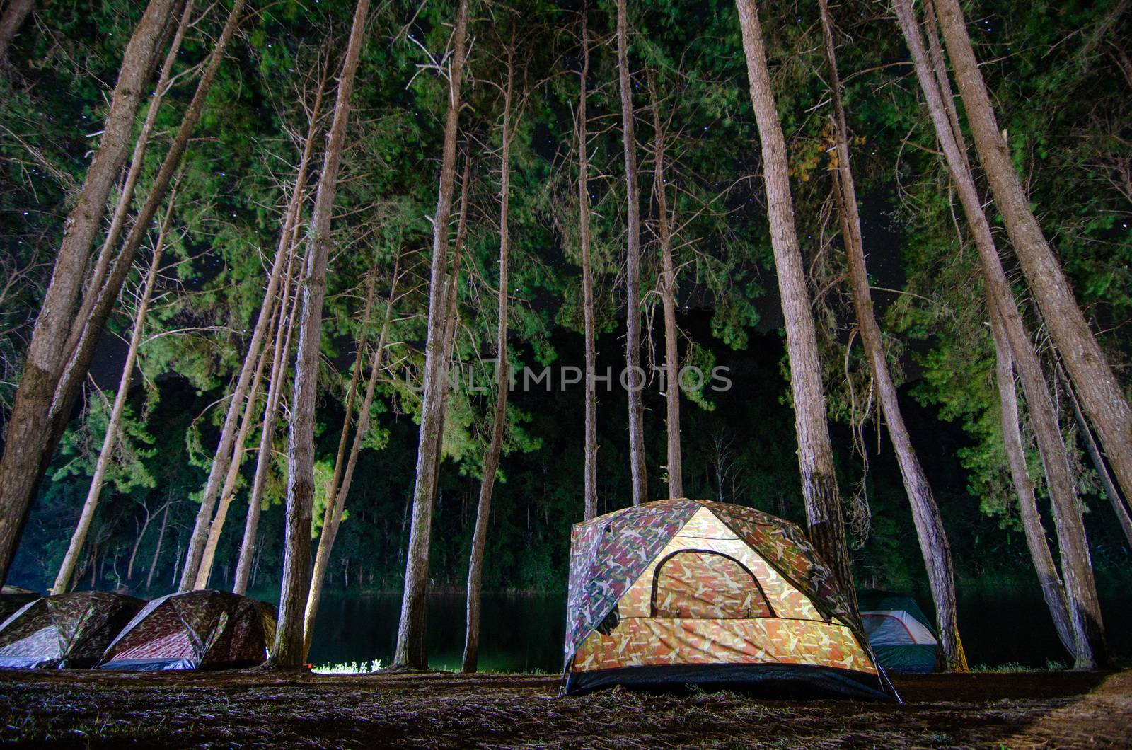 Dancing camping in Pang Ung forest, Mae Hong Son province, Thailand