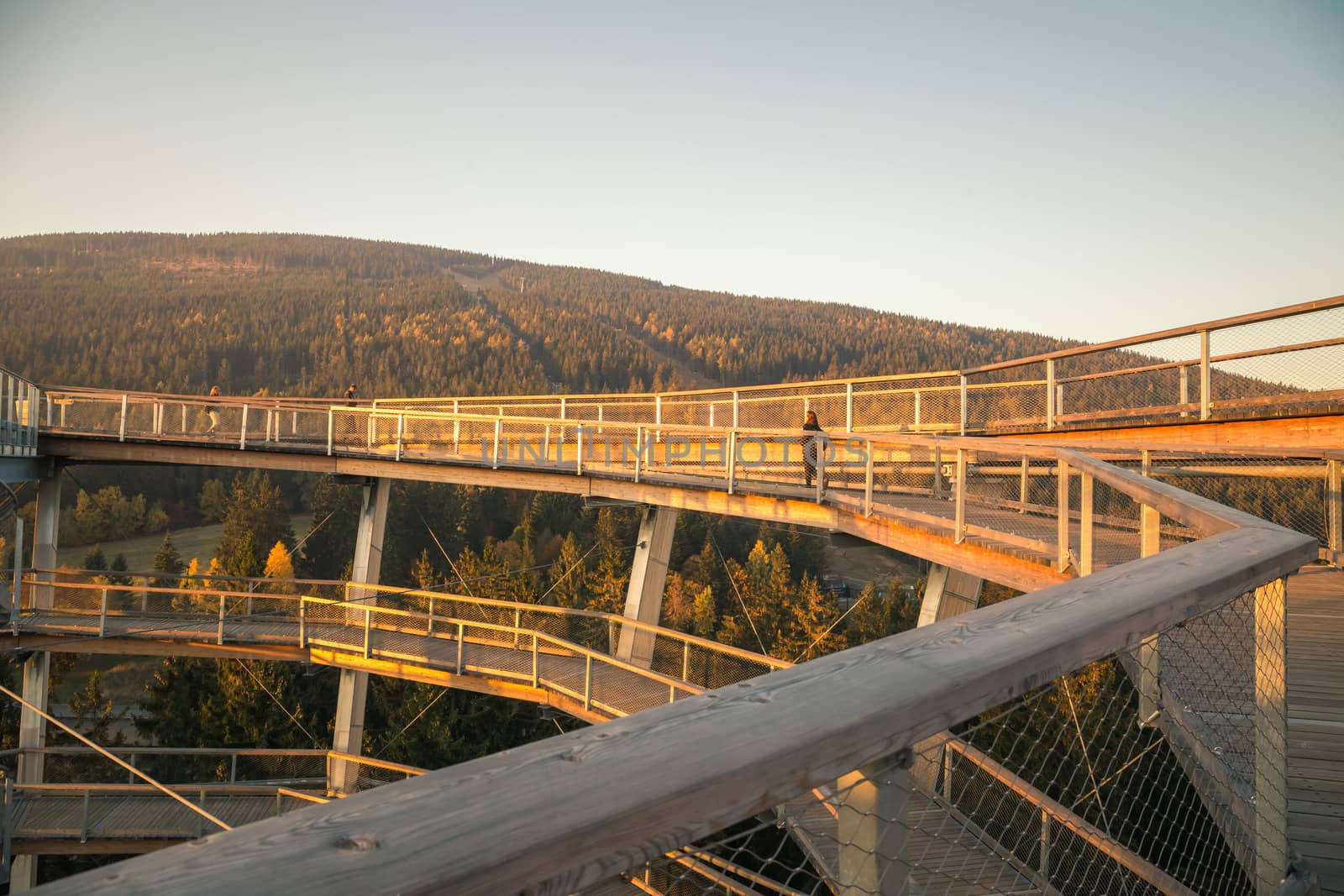 Treetop walkway tower in Janske Lazne. Stezka korunami stromu. The Tree Top Walk.