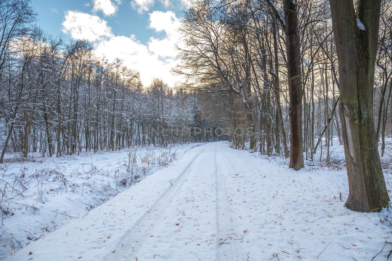 Snow covered path in a wooded winter landscape, snow falling from trees, footprints in the snow